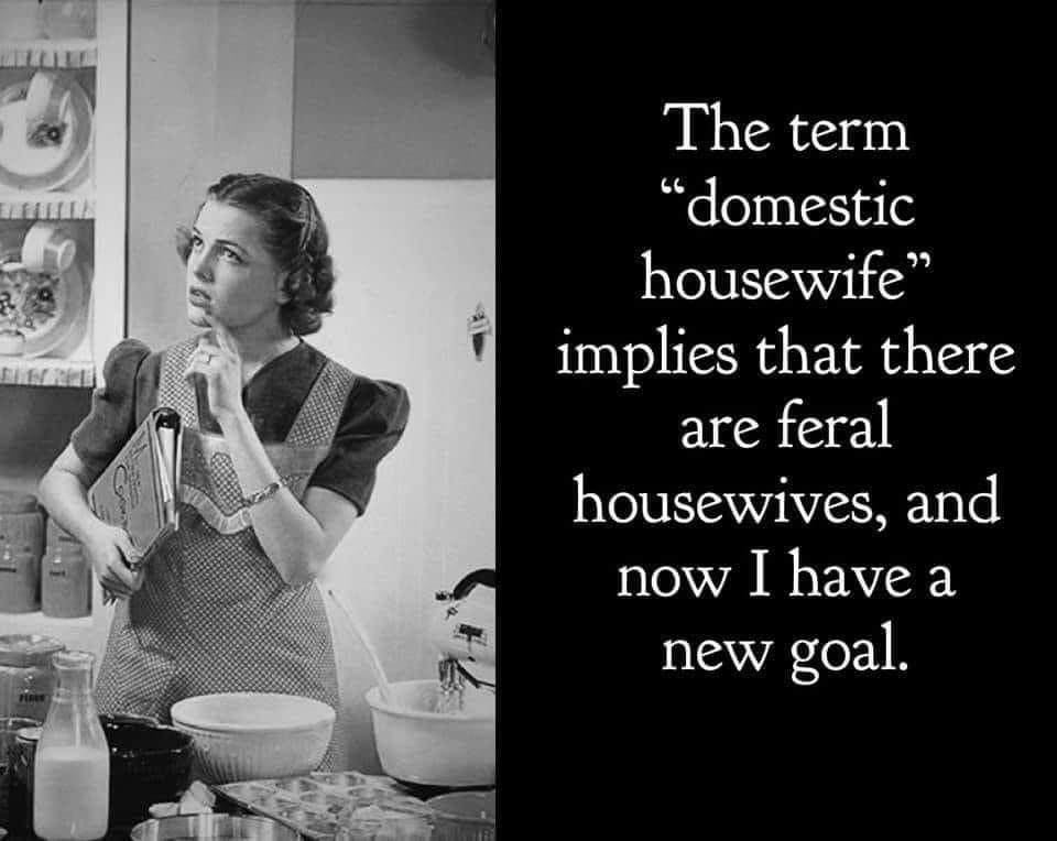 feral housewife.jpg
